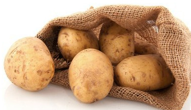 马铃薯。网络图